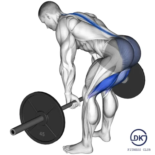 Romanian Deadlift