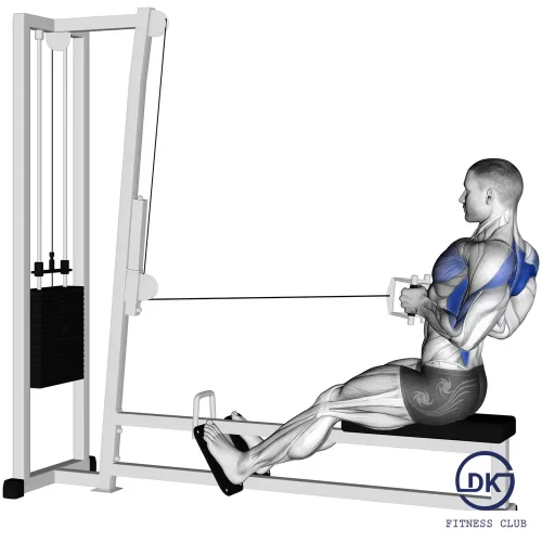 Seated Cable Row