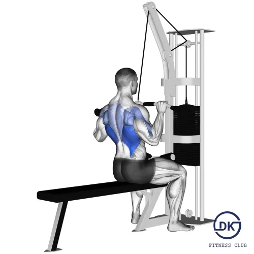 Lat Pulldown