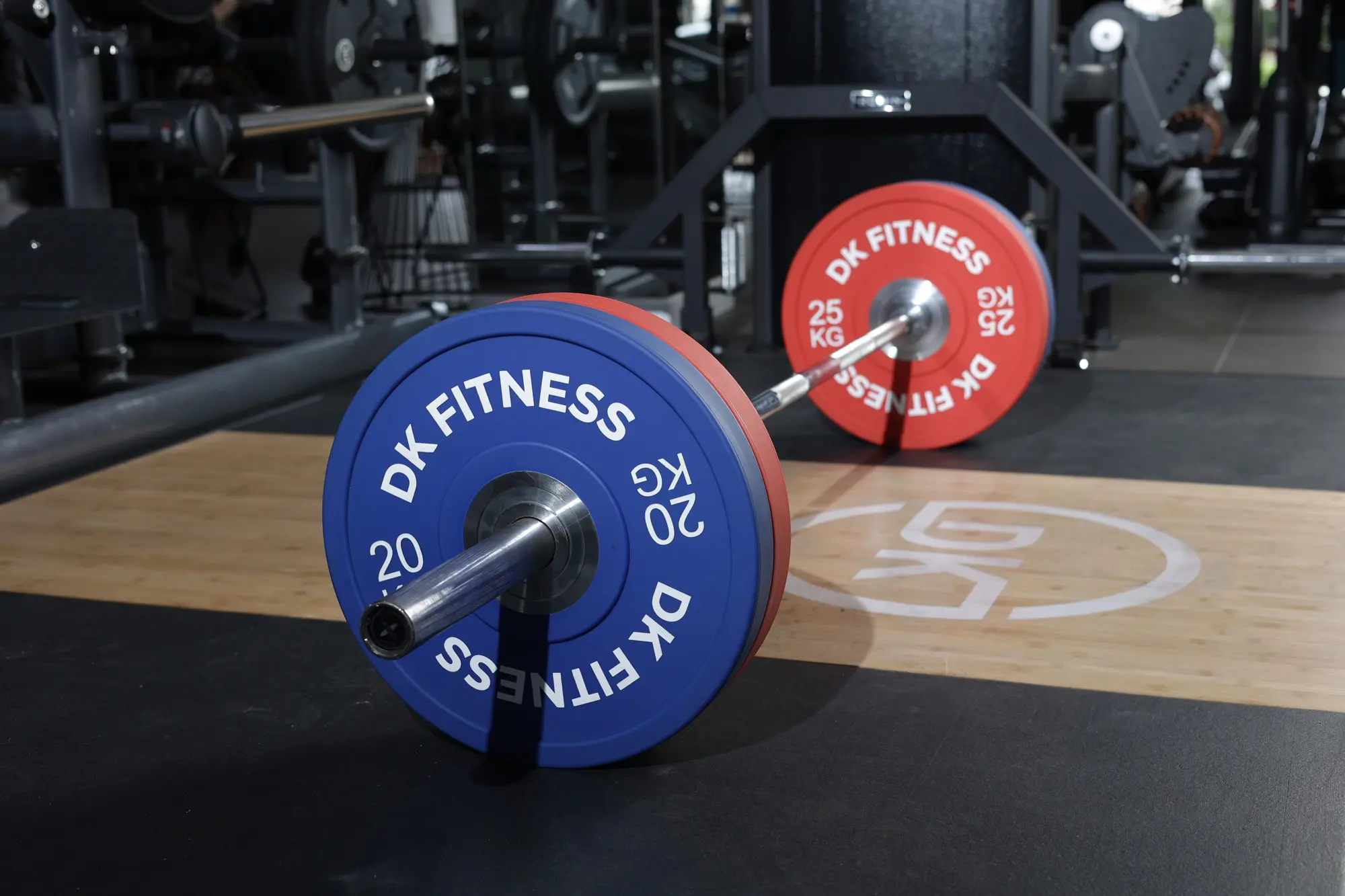 dk fitness gallery 2000-1333 (10)