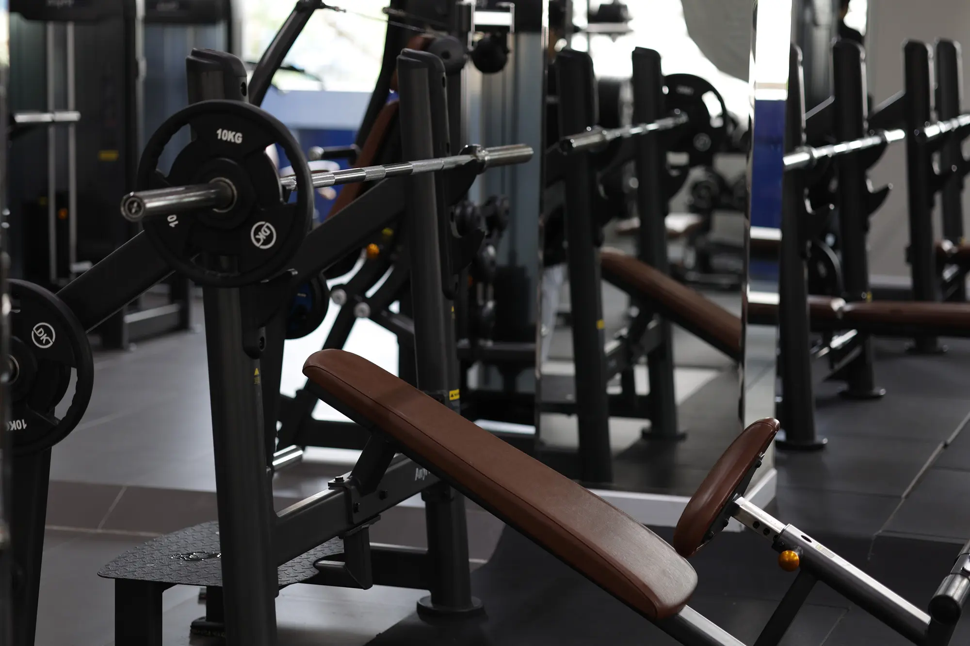 dk fitness gallery 2000-1333 (3)