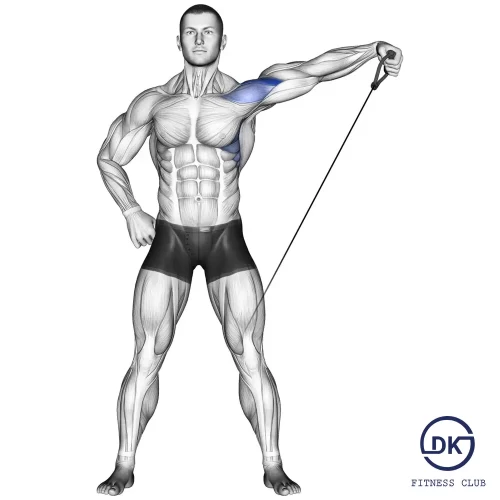 Cable Laterial Raise