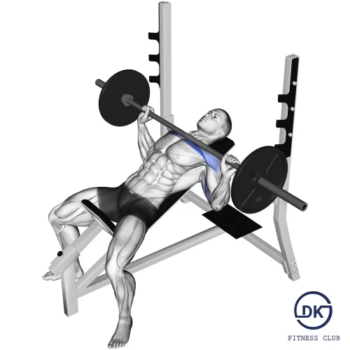 Incline Bench Press
