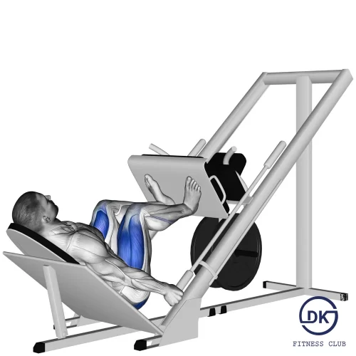 Leg Press