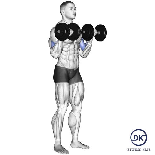 Biceps Curl