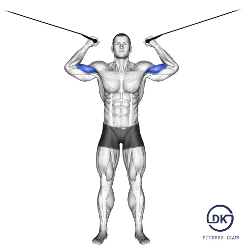 Dual Cable Triceps Extension