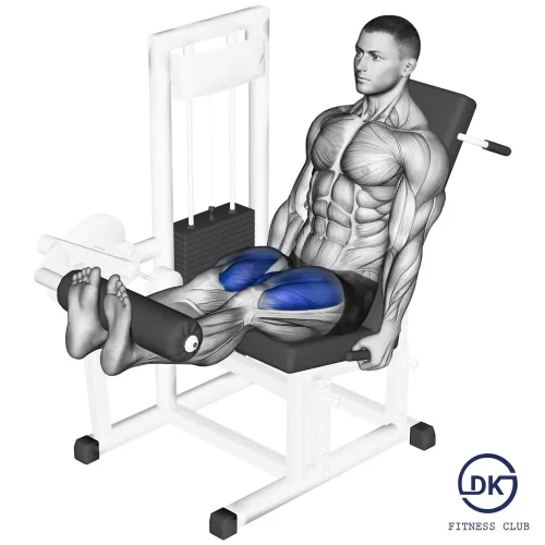Leg Extension