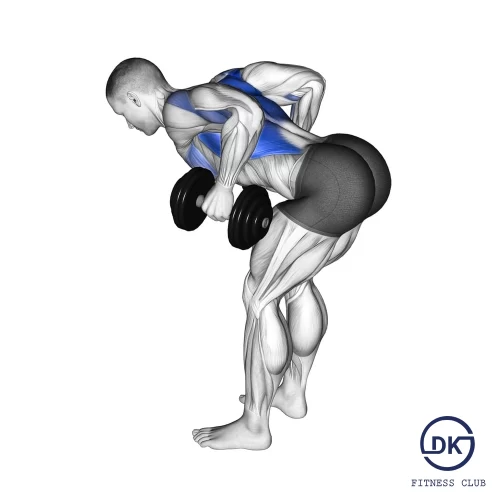 Bent Over Dumbbell Row