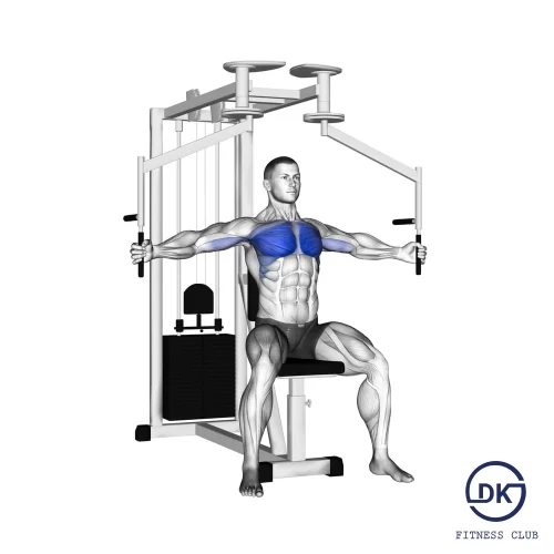 Machine Chest Fly
