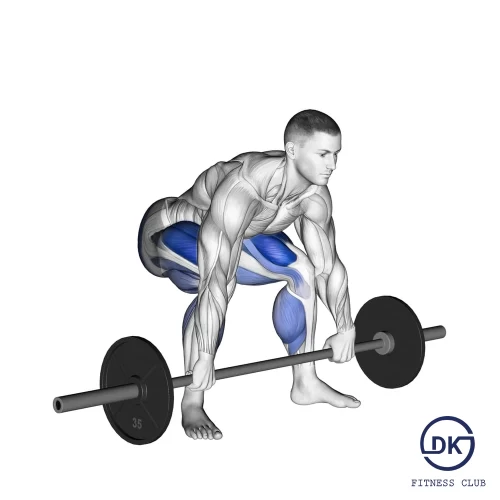 Conventional Deadlift
