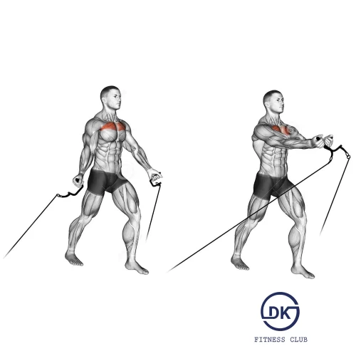 Low Cable Pec Fly