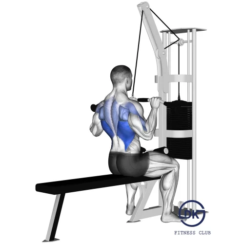 Underhand Lat Pulldown