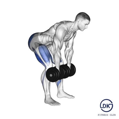 Dumbbell Romanian Deadlift