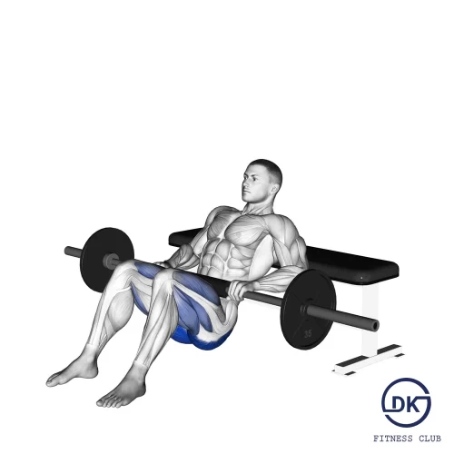 Hip Thrust