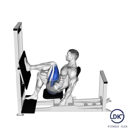 Single Leg Press